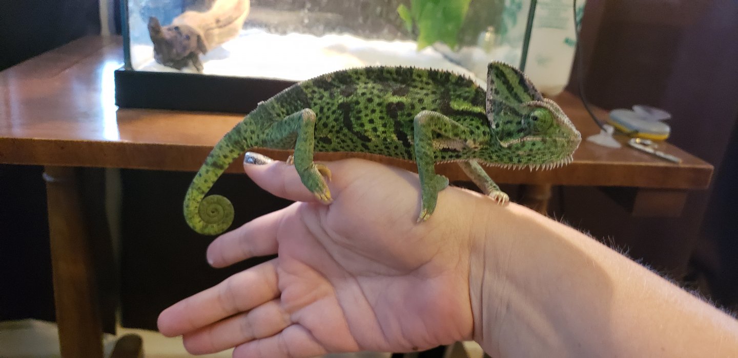 20180730_151727.jpg
