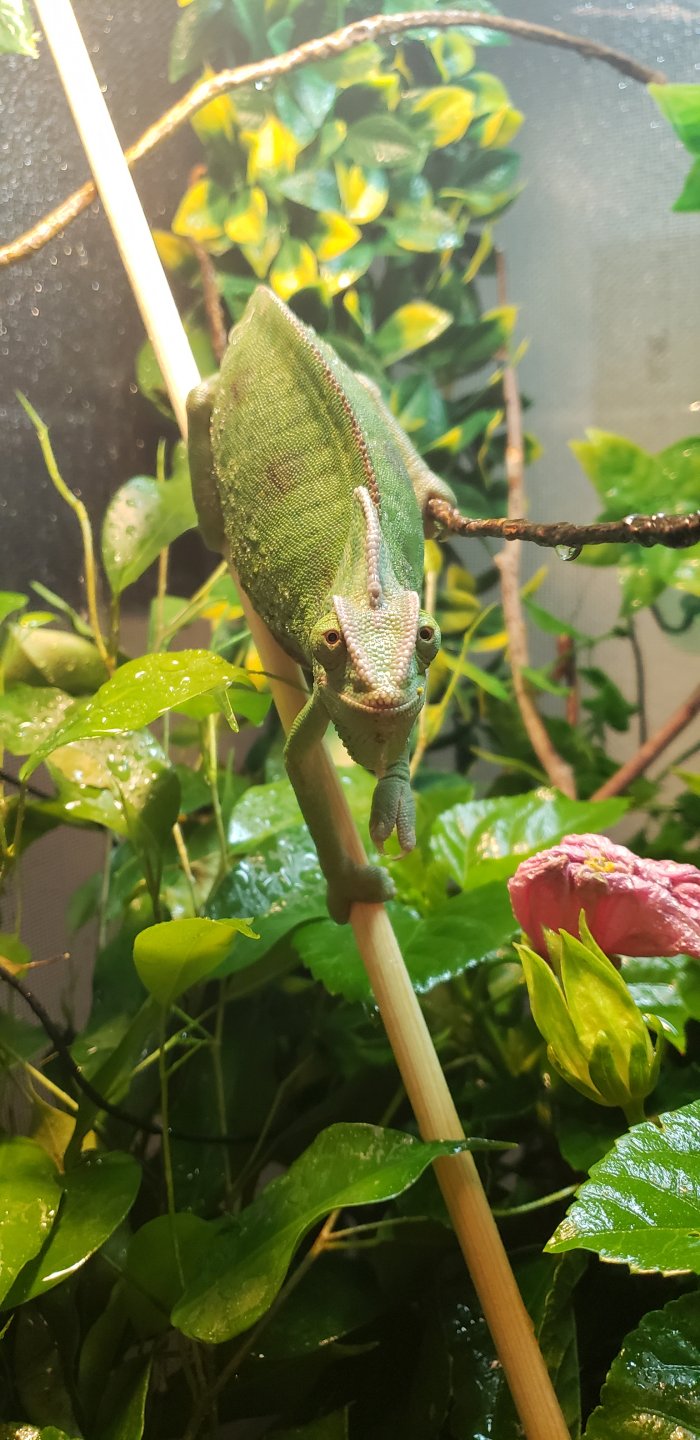 20180810_082159.jpg