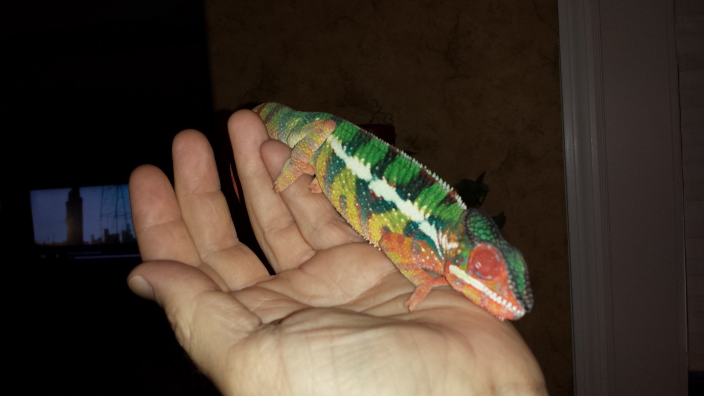 20180815_122717.jpg