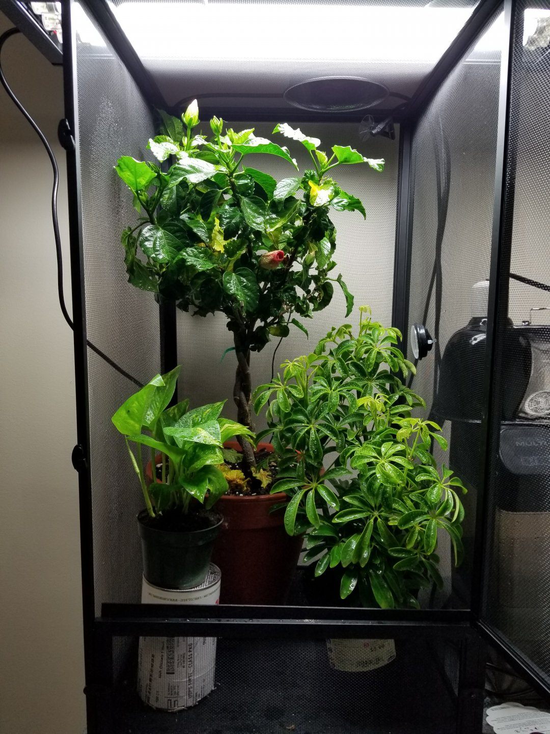 20180827_131326.jpg