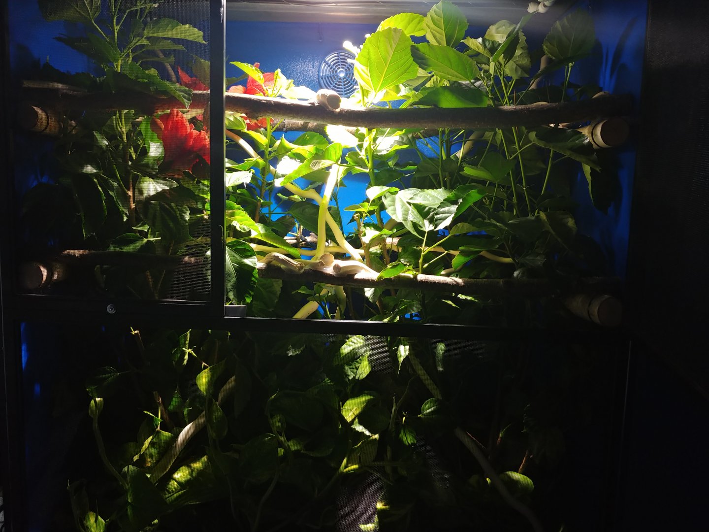 20180830_191352.jpg