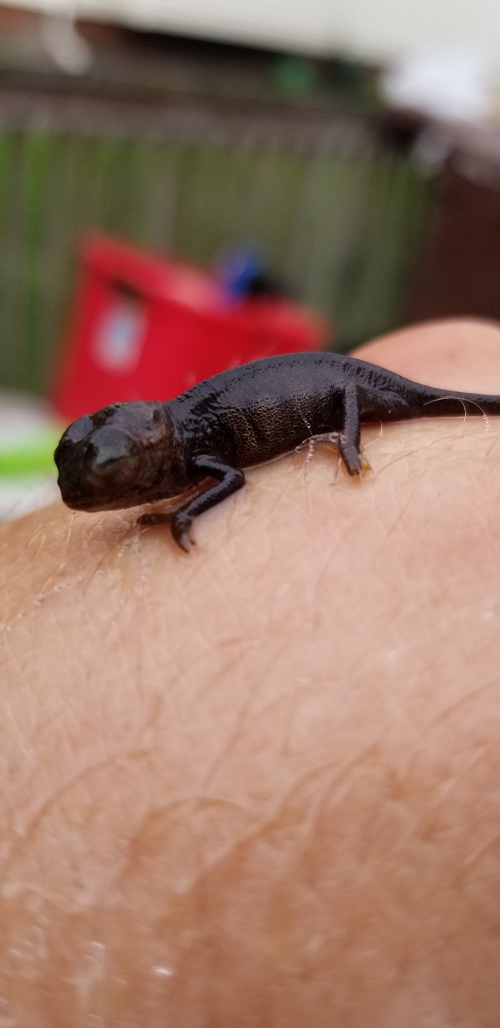 20180907_112631.jpg