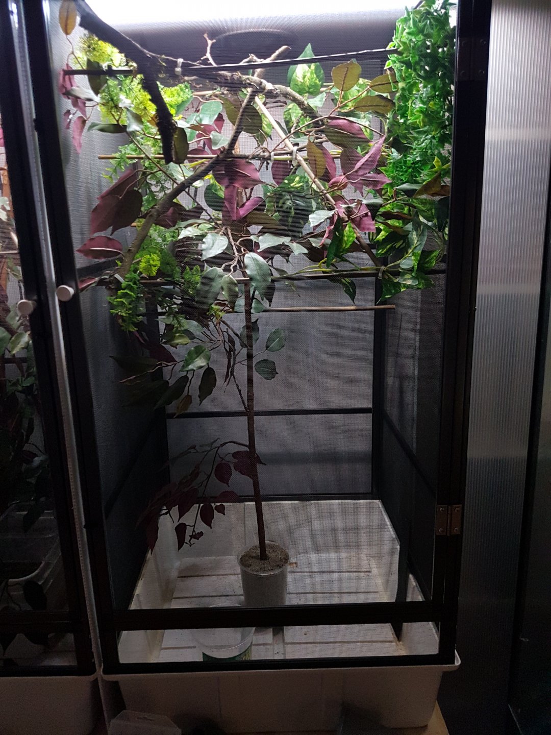 20180911_210533.jpg