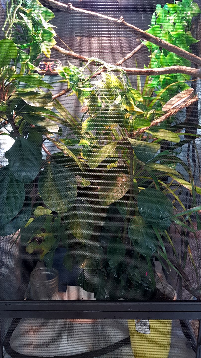 20180915_145920.jpg