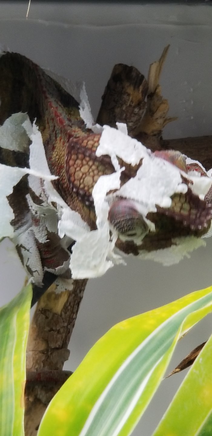 20180921_175804.jpg