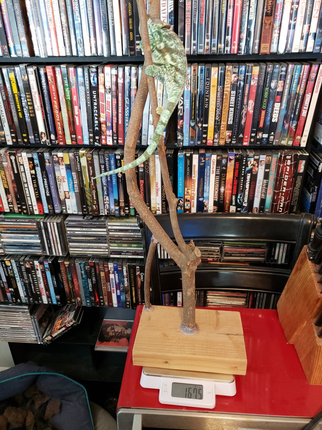 20180926_151503.jpg