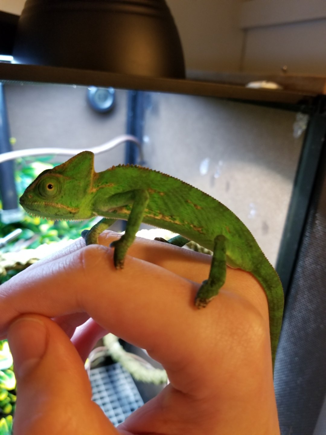20181002_205626.jpg