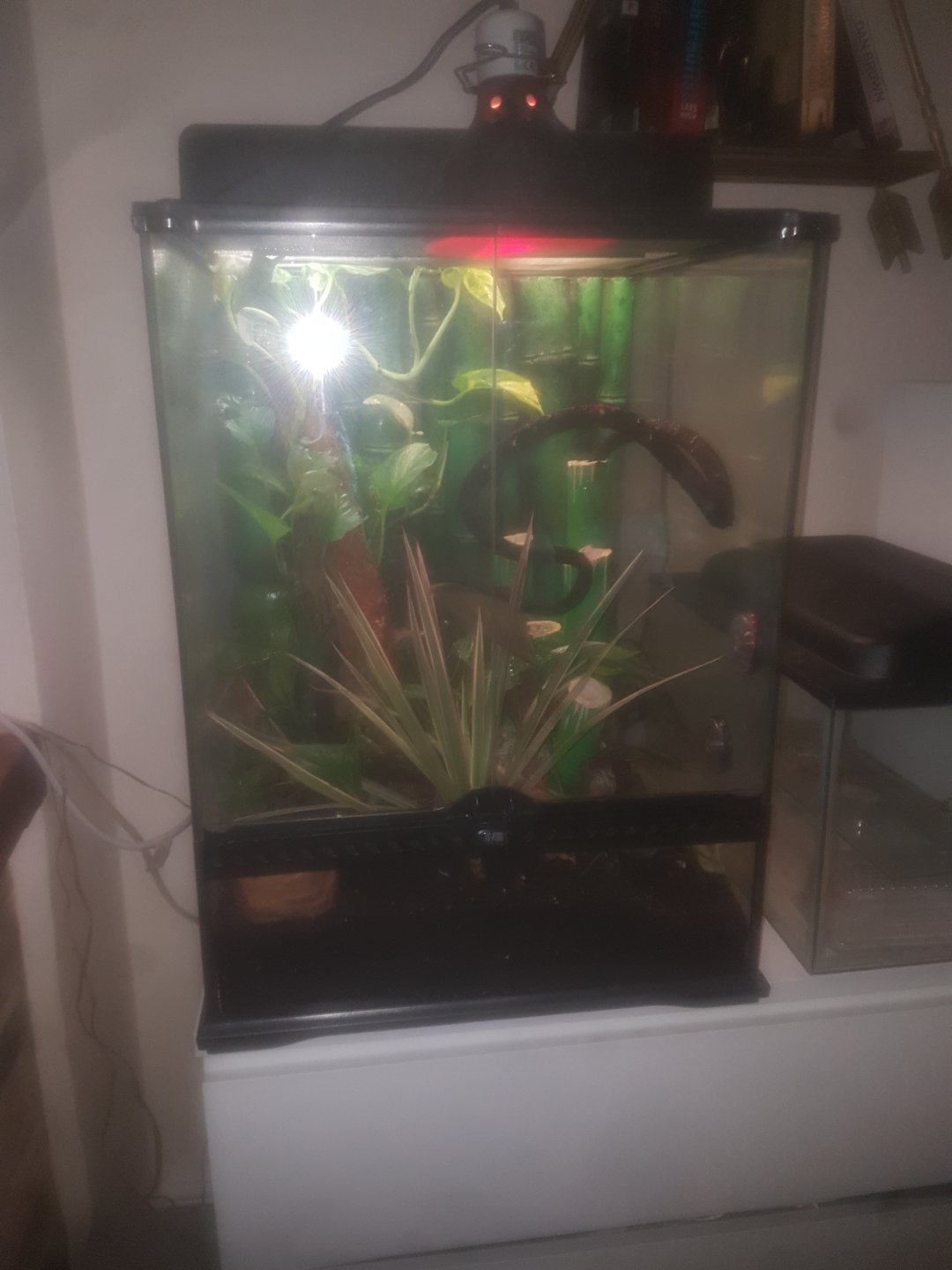 20181005_101041.jpg