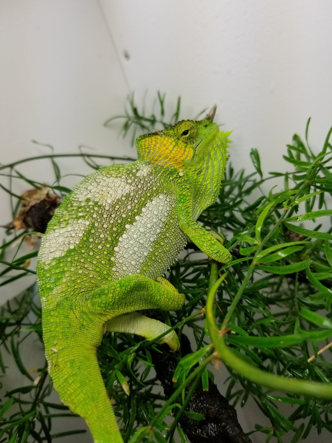 20181028_161642.jpg