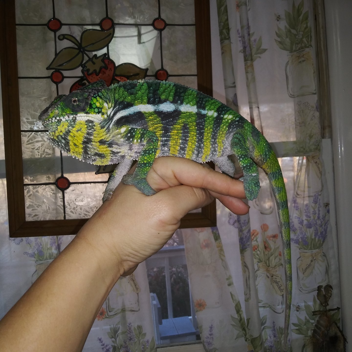 20181205_145342.jpg