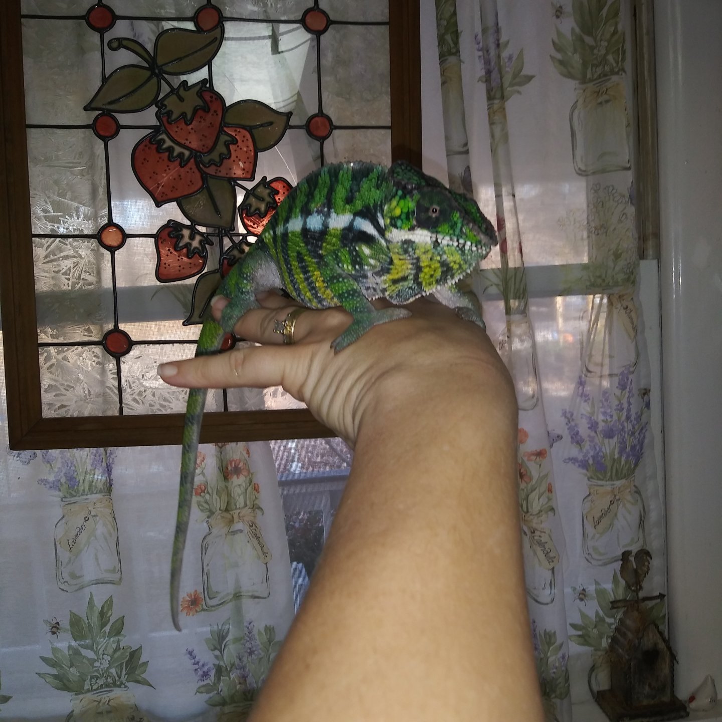20181205_145350.jpg