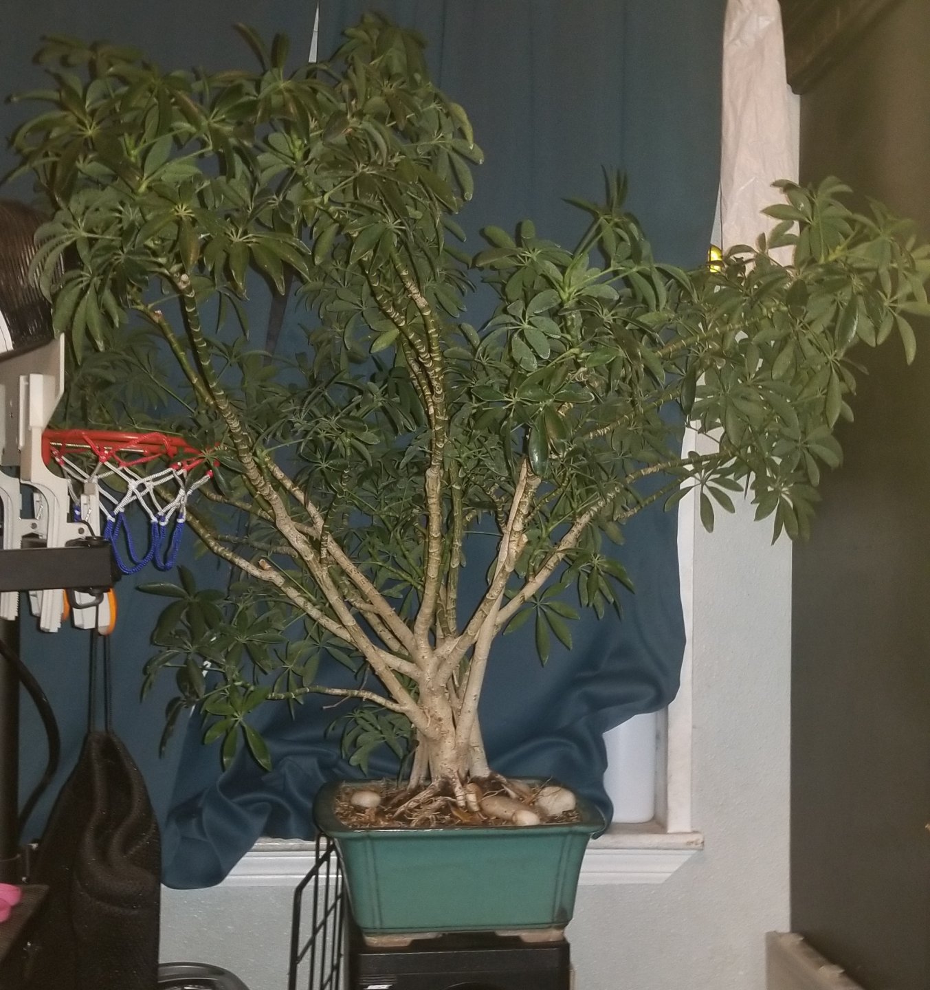 20190112_201707.jpg