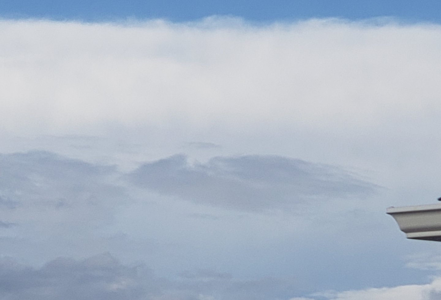 20190202_145058.jpg