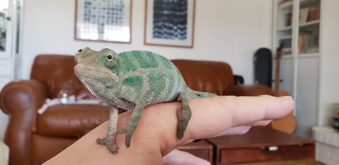 20190206_120545.jpg