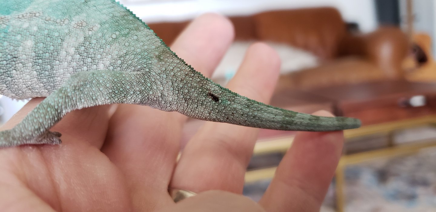 20190206_121219.jpg