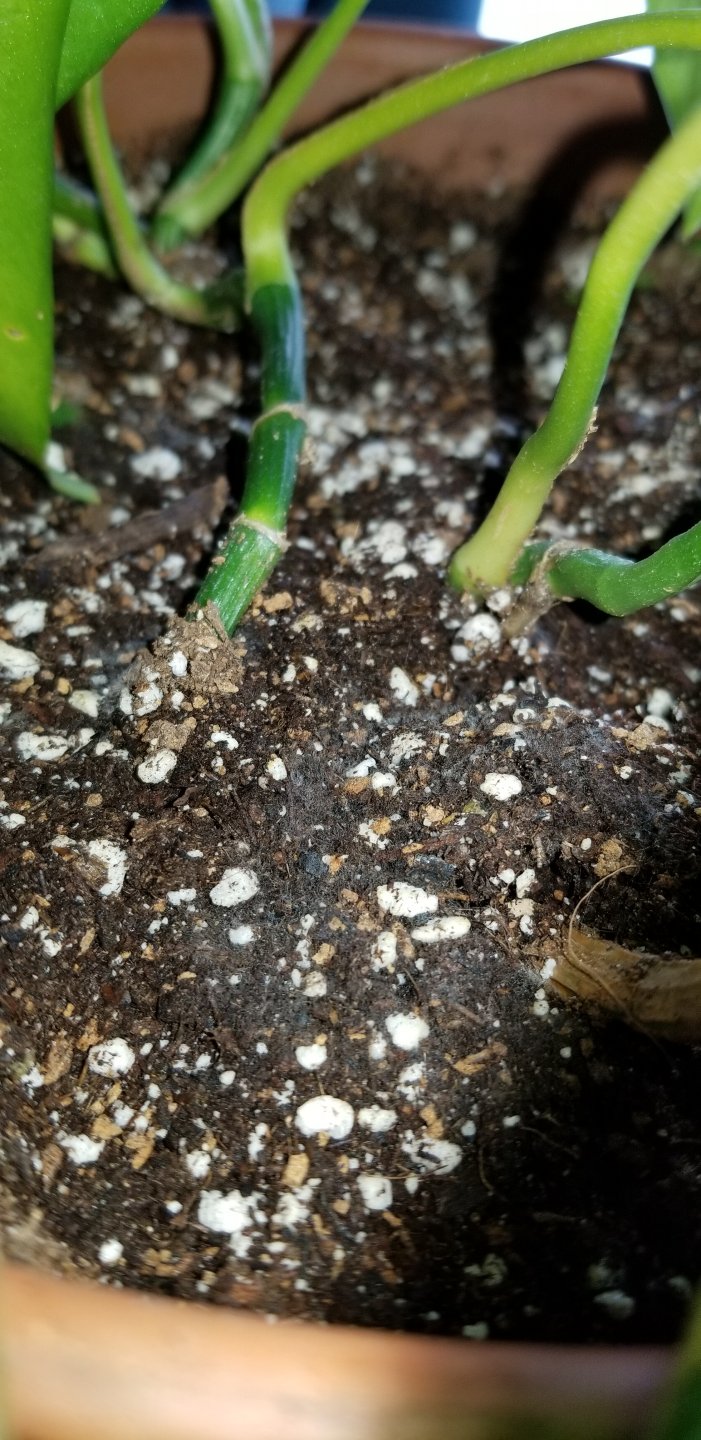 20190209_113653.jpg
