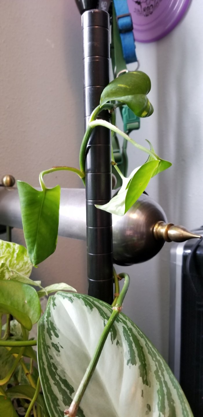 20190209_113816.jpg