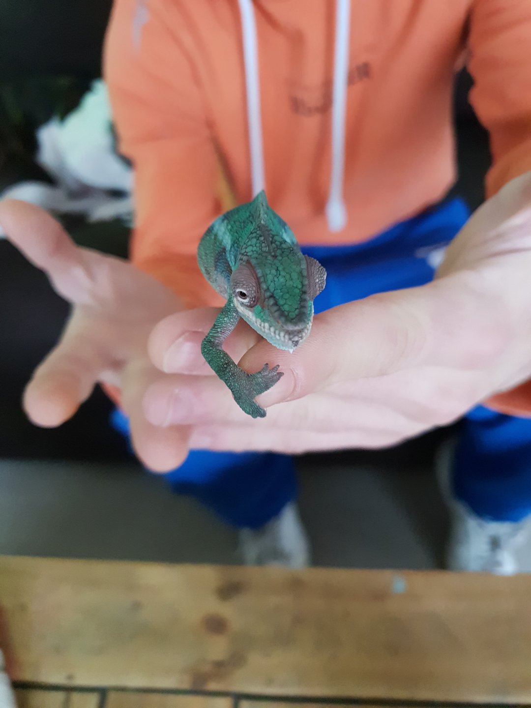 20190212_110206.jpg