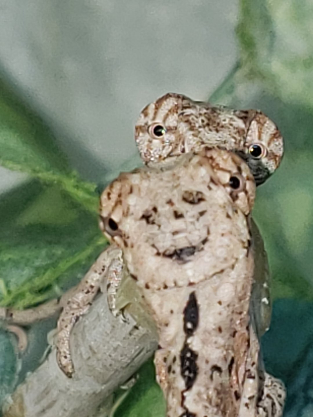 20190303_134504.jpg