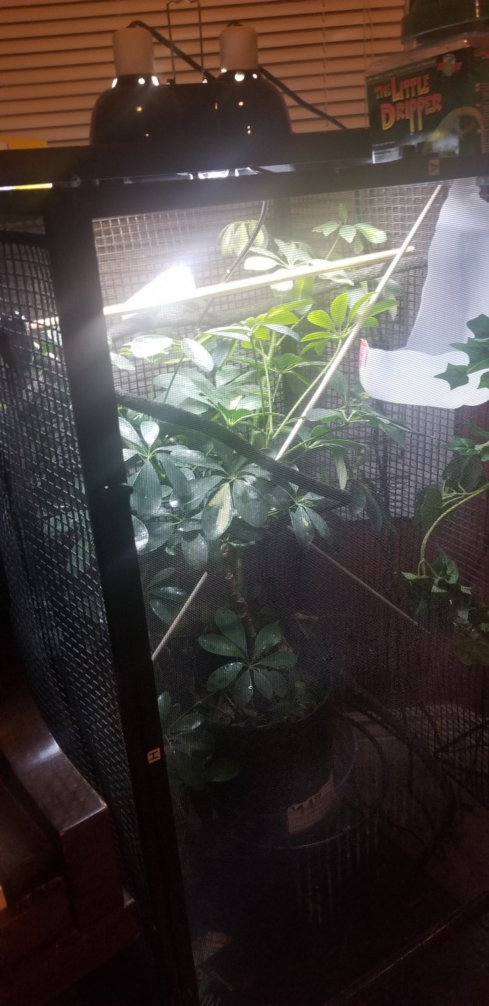 20190320_033949.jpg