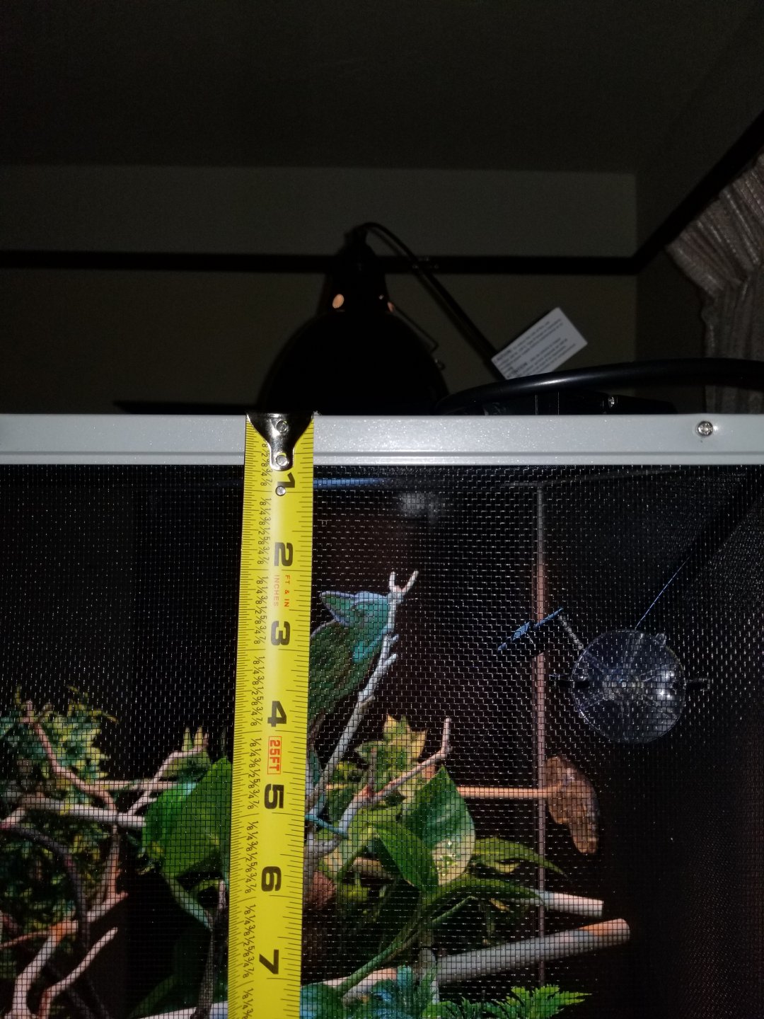 20190325_180343.jpg