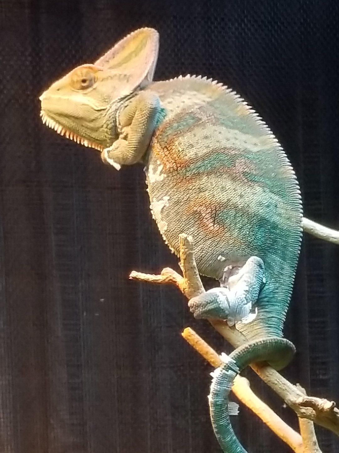 20190328_165726.jpg