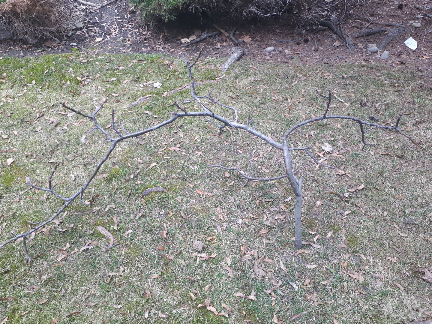 20190405_135302.jpg