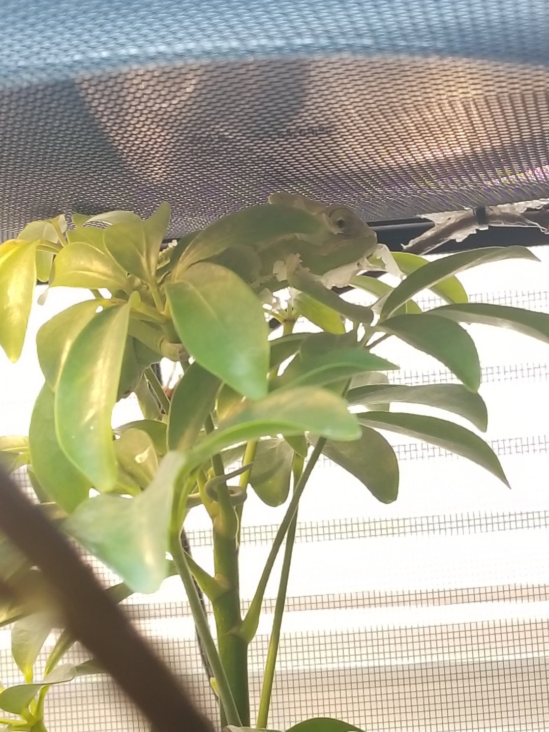 20190408_132808.jpg