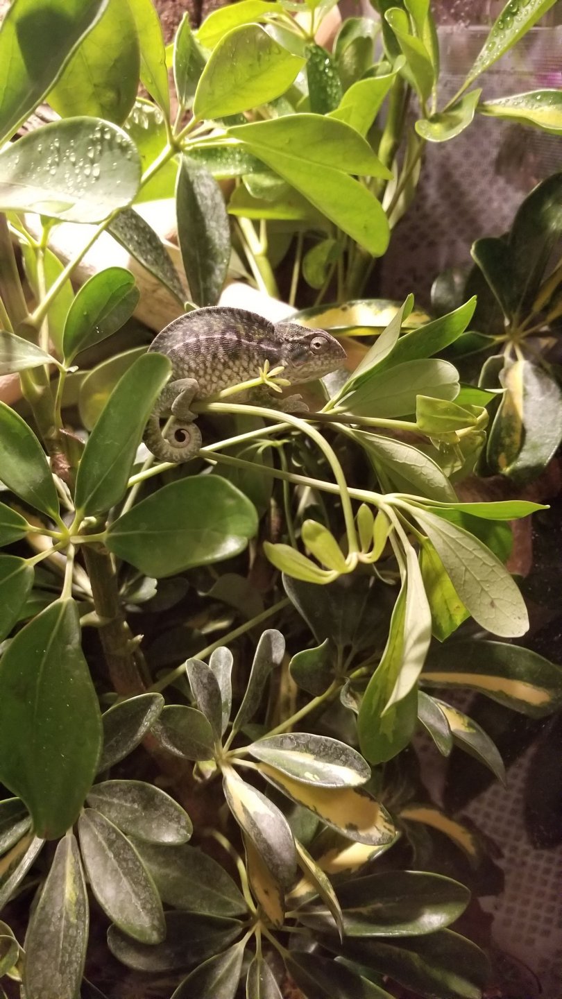 20190408_223346.jpg