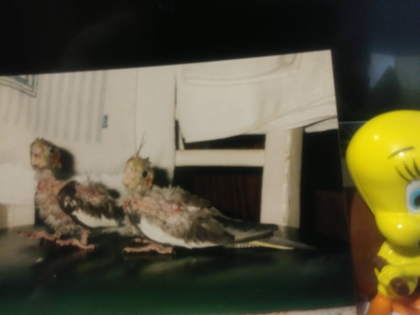 20190412_081039.jpg