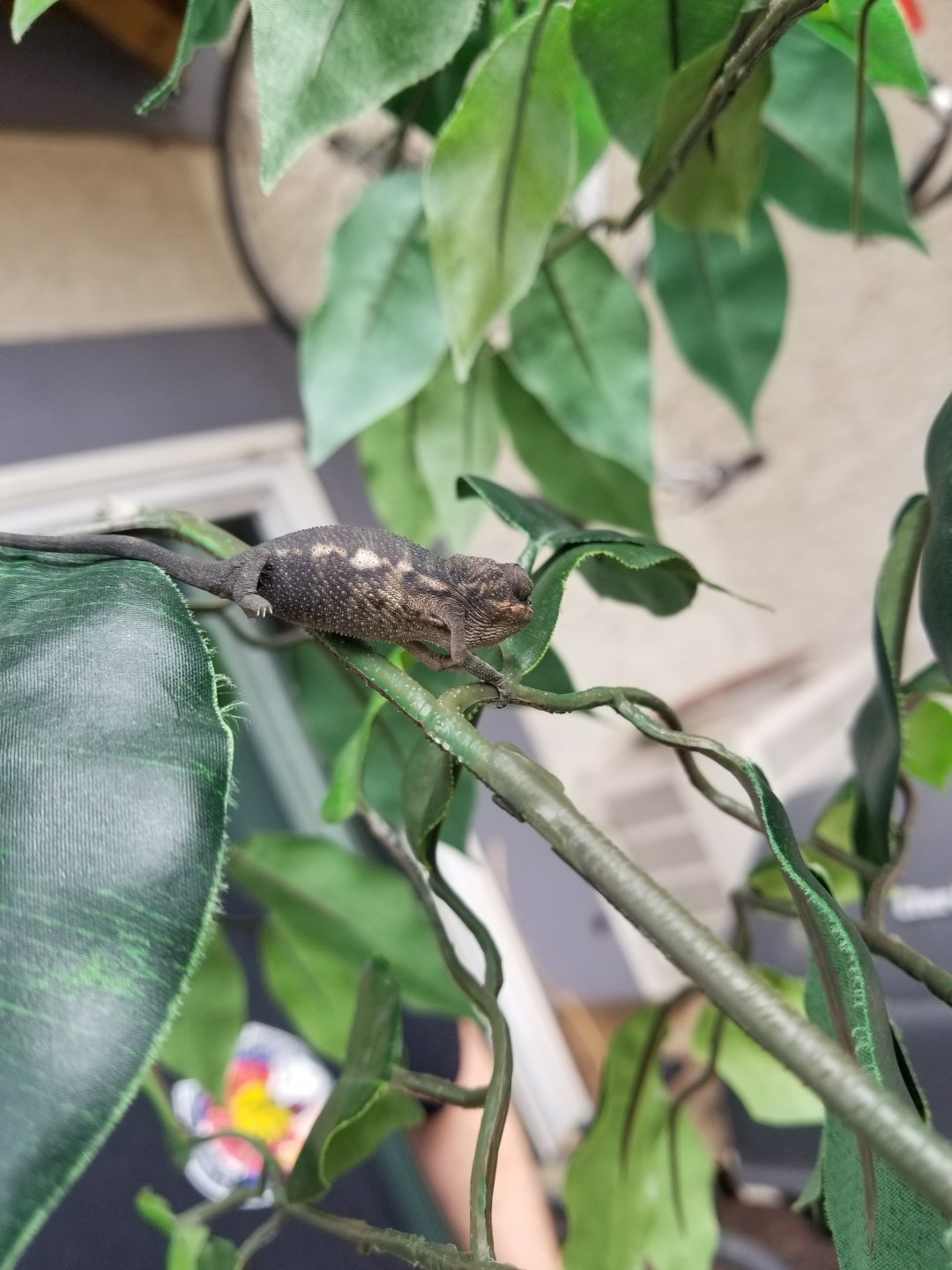 20190416_135538.jpg
