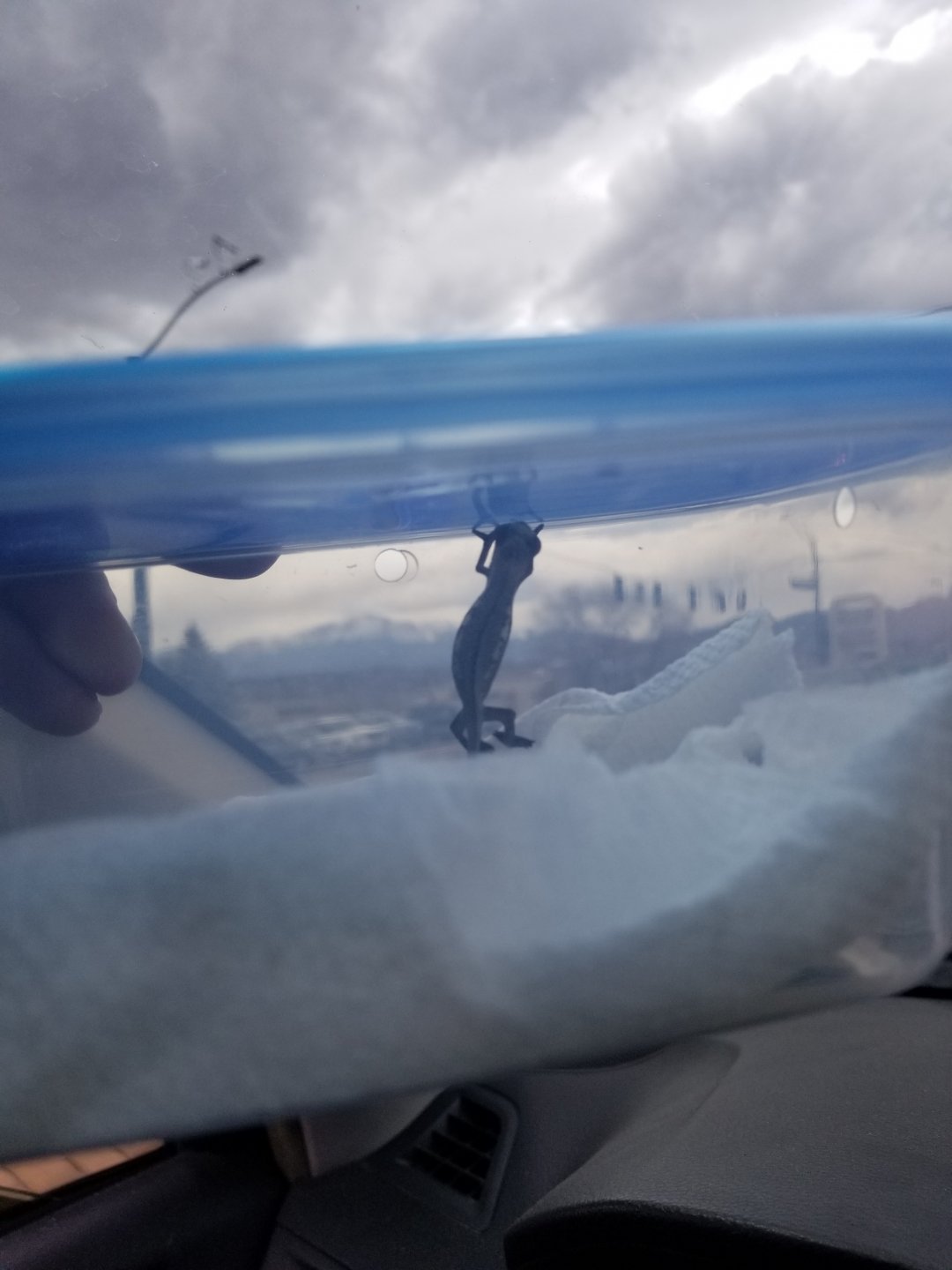 20190416_142927.jpg