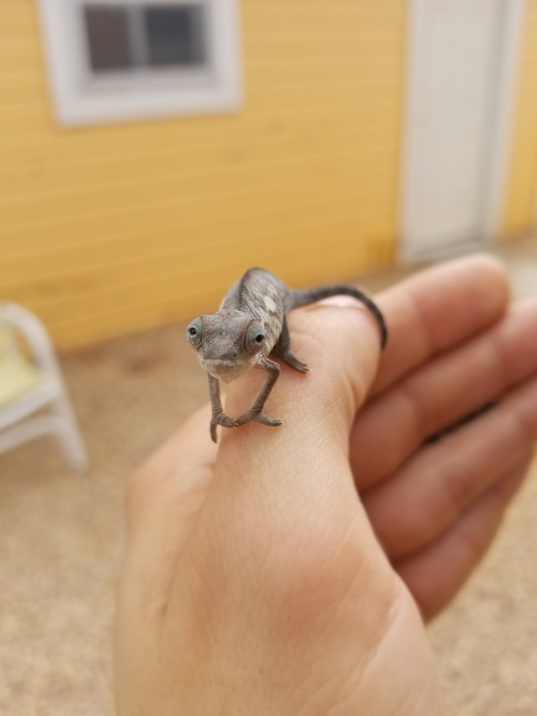 20190416_153427.jpg