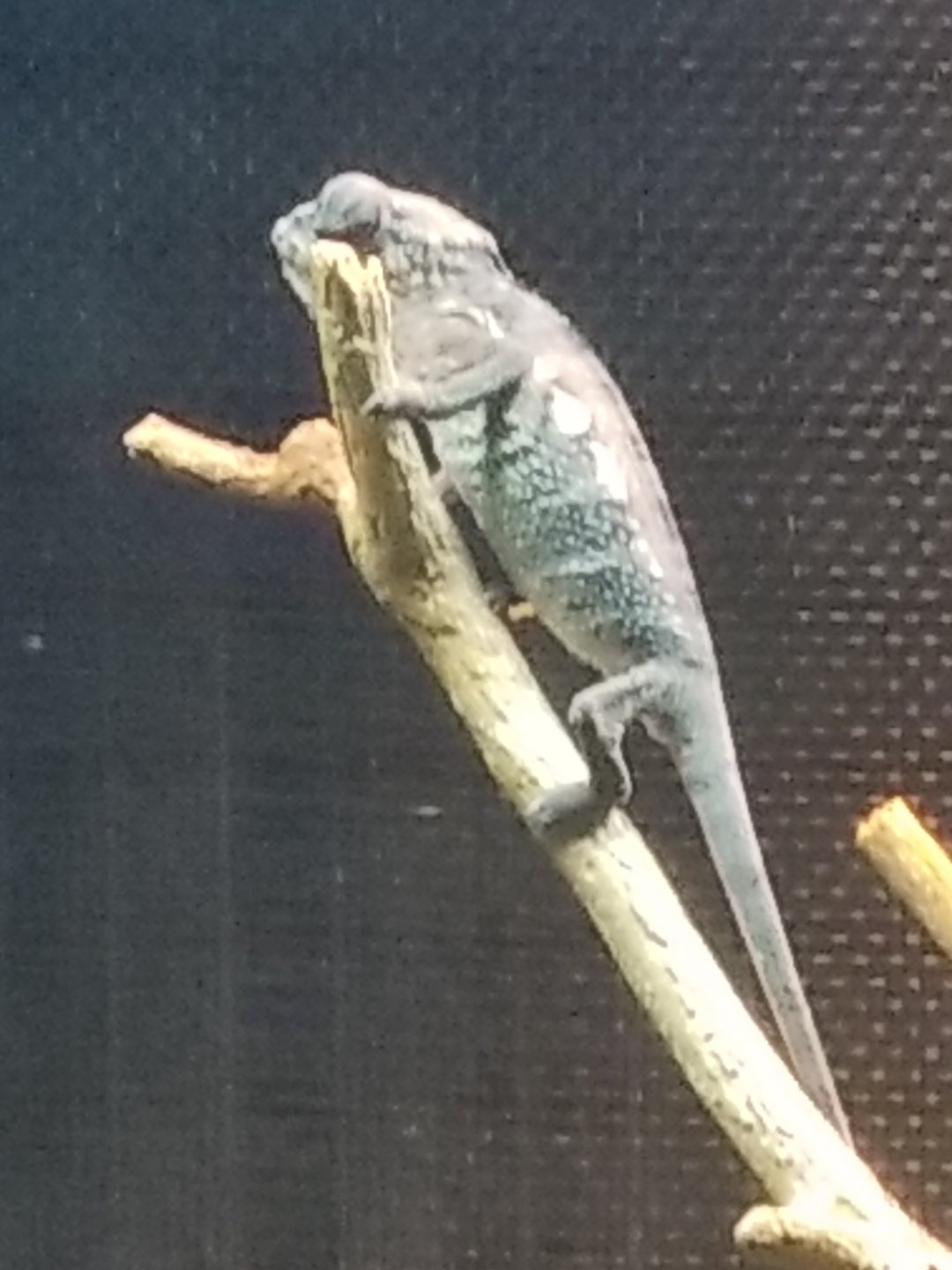20190416_165839.jpg
