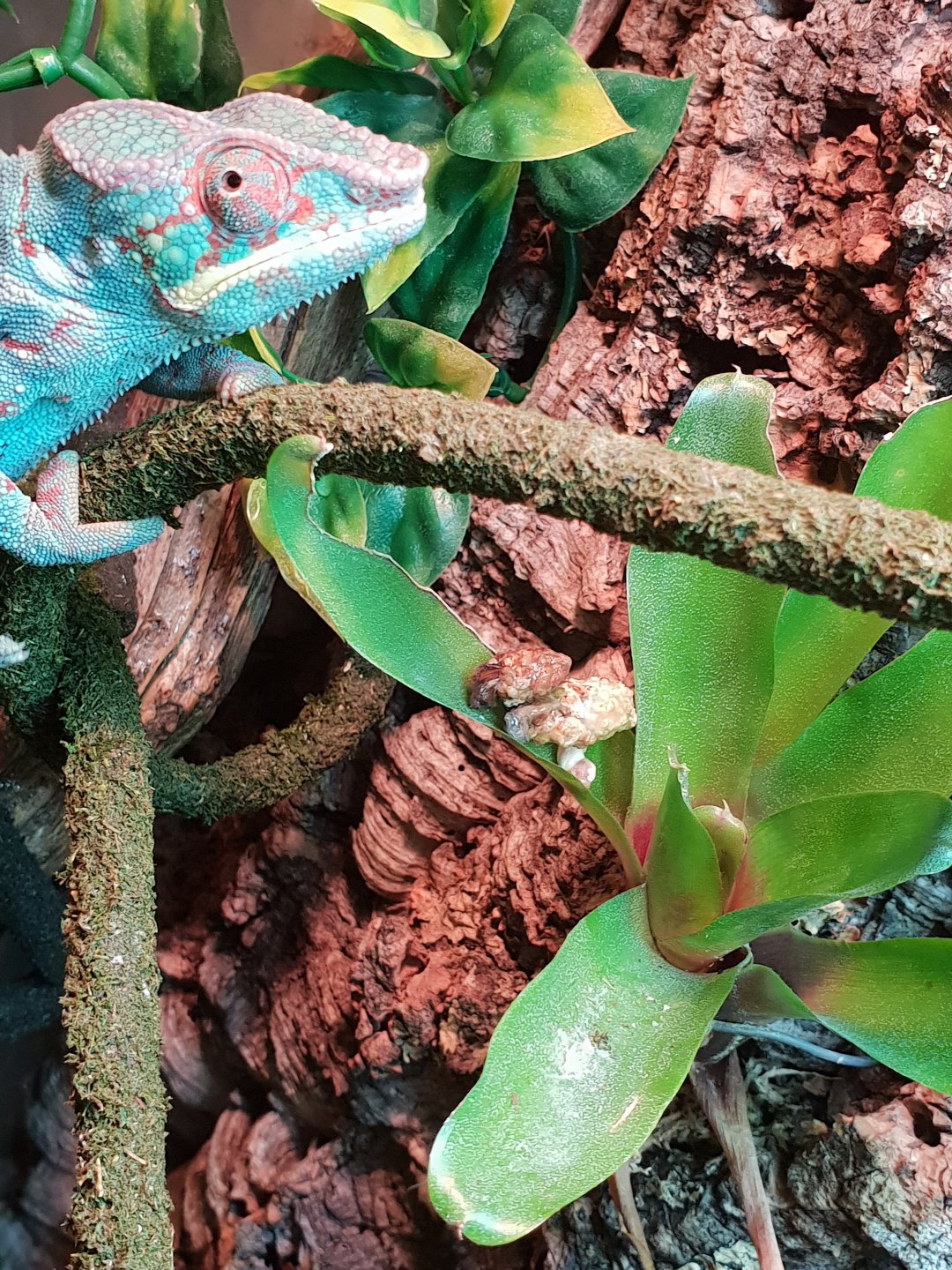 20190419_111804.jpg