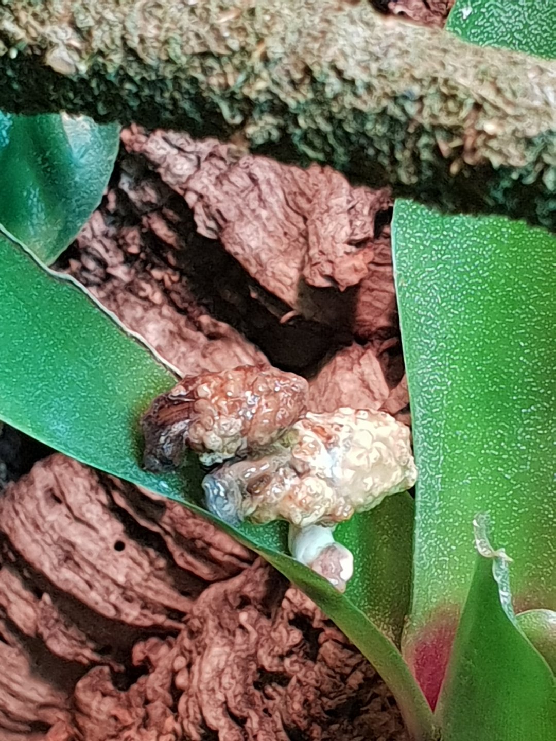 20190419_111810.jpg