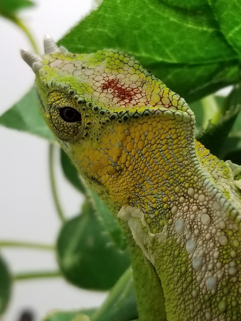 20190428_133824.jpg