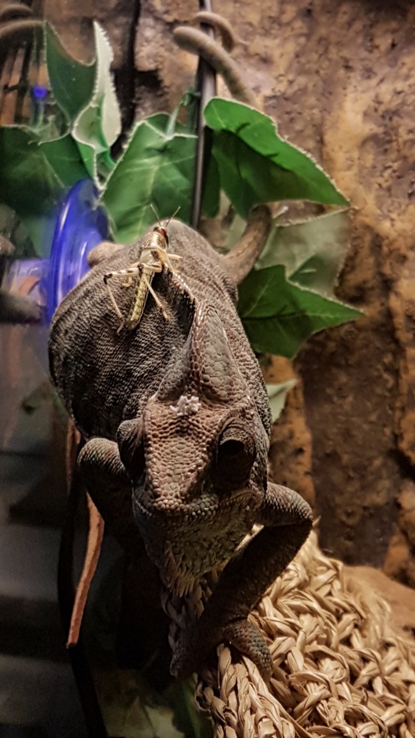 20190428_212752.jpg