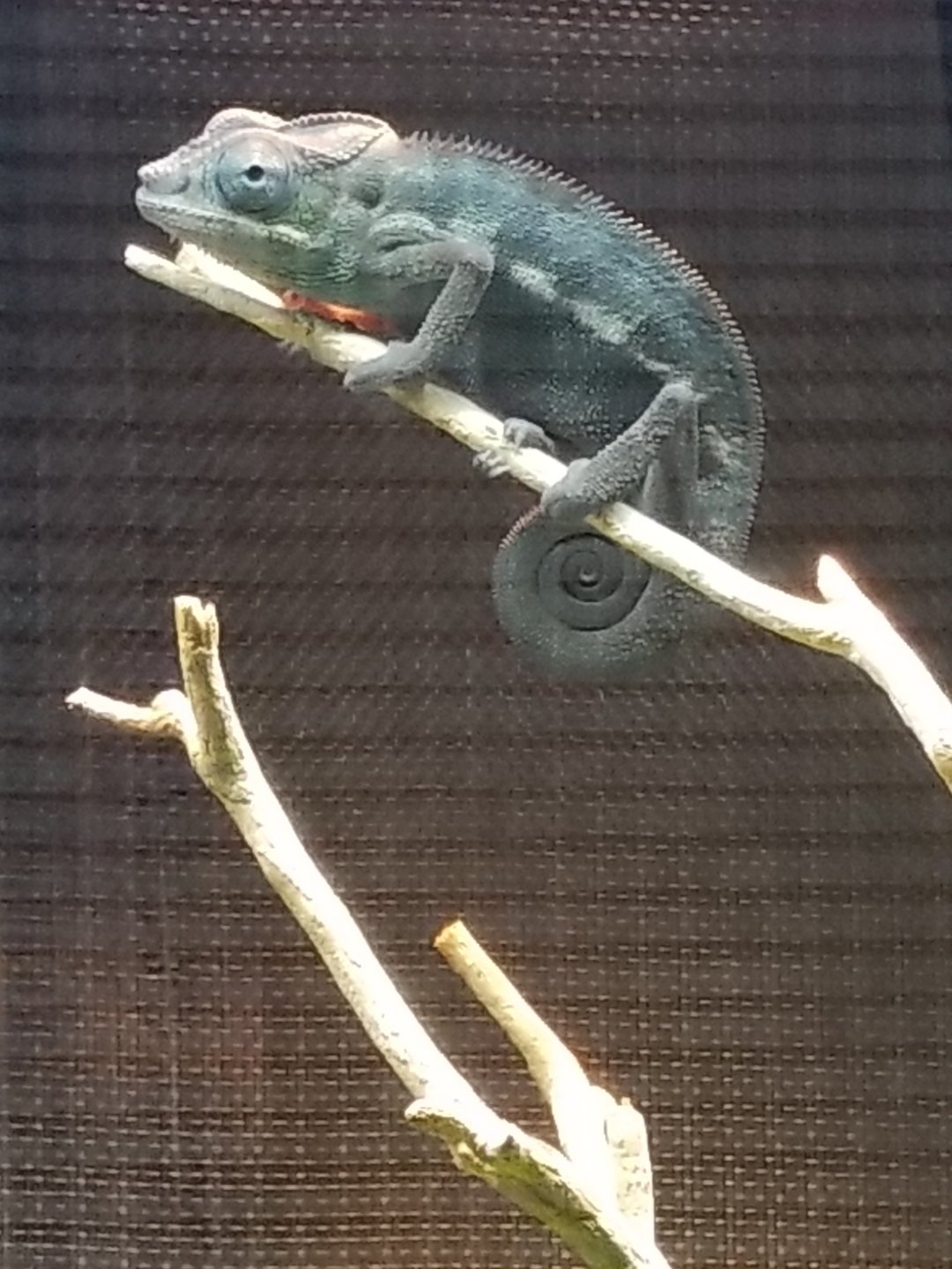 20190501_153531.jpg