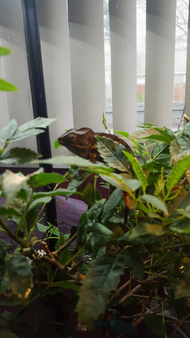 20190509_182511.jpg