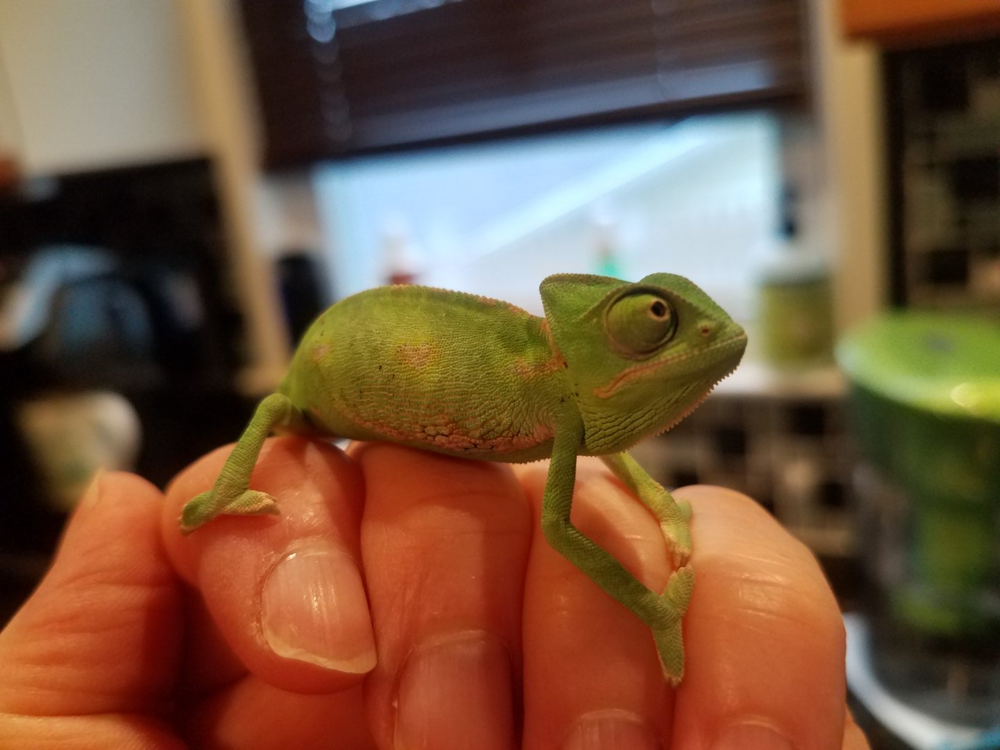 20190510_110521.jpg