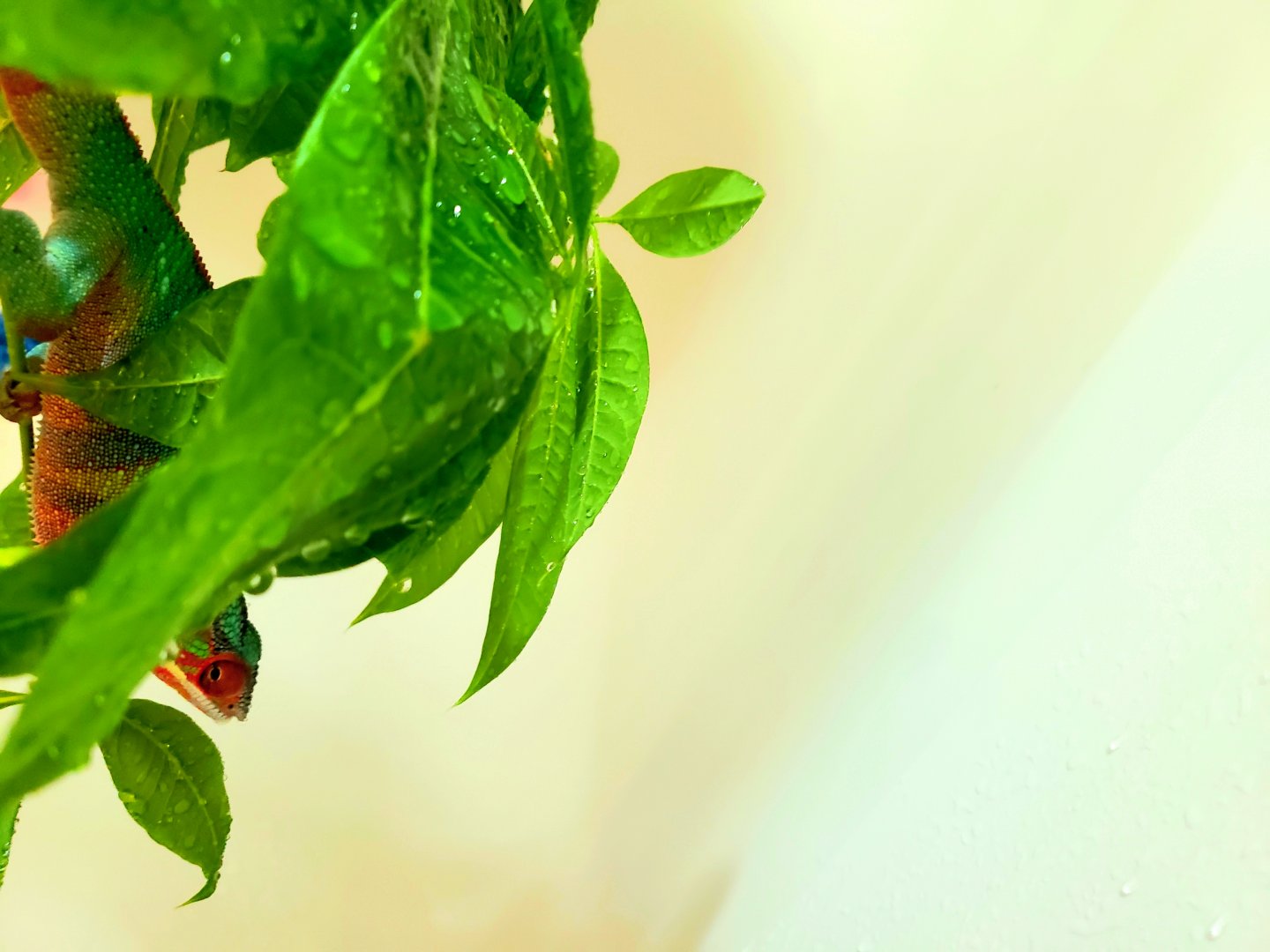 20190518_014849.jpg