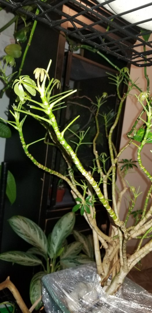20190528_203029.jpg