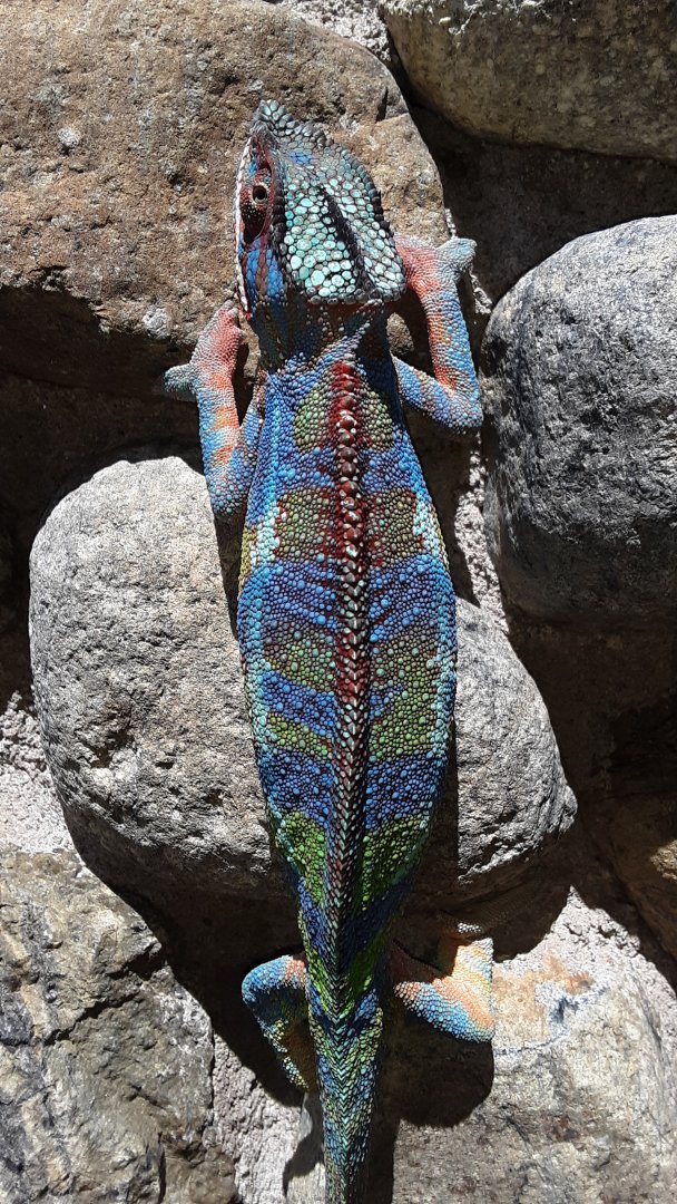 20190601_120138.jpg