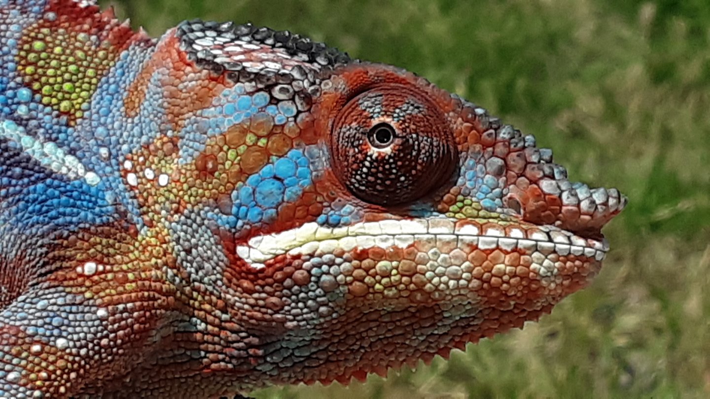 20190601_120644.jpg