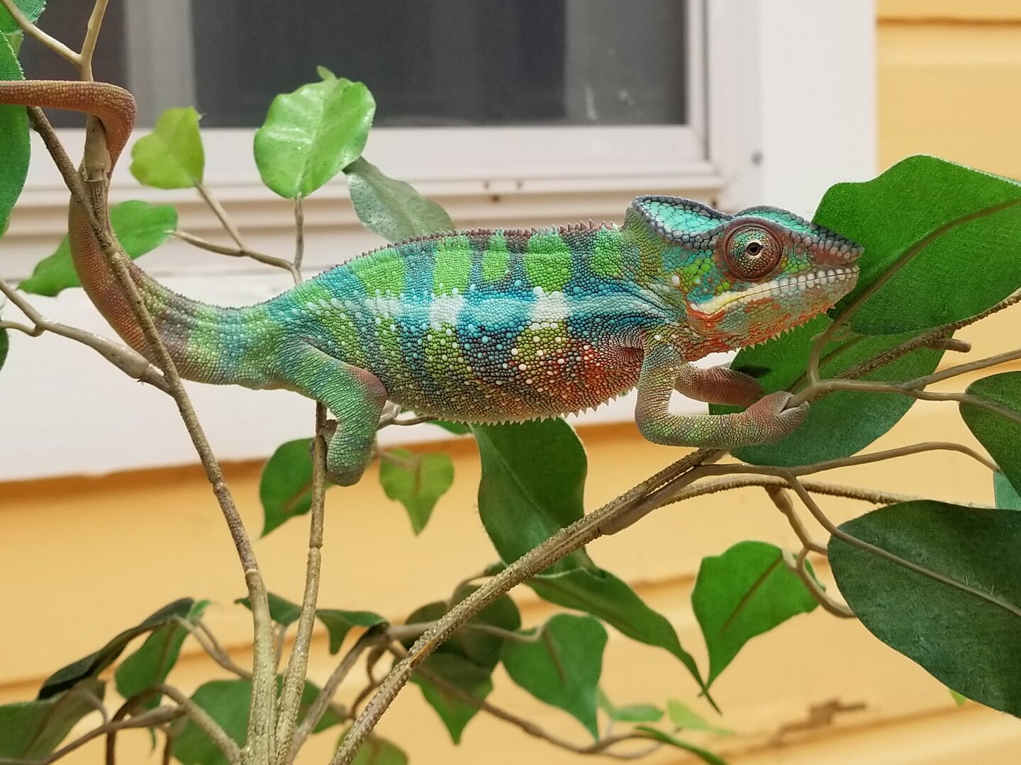 20190603_135512.jpg