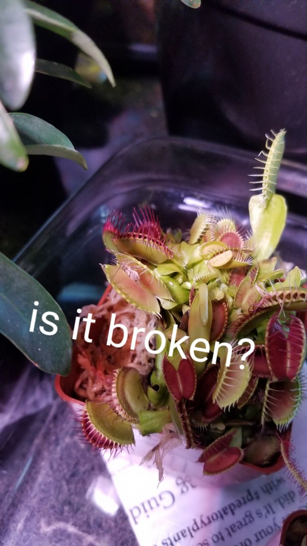 20190604_172103.jpg