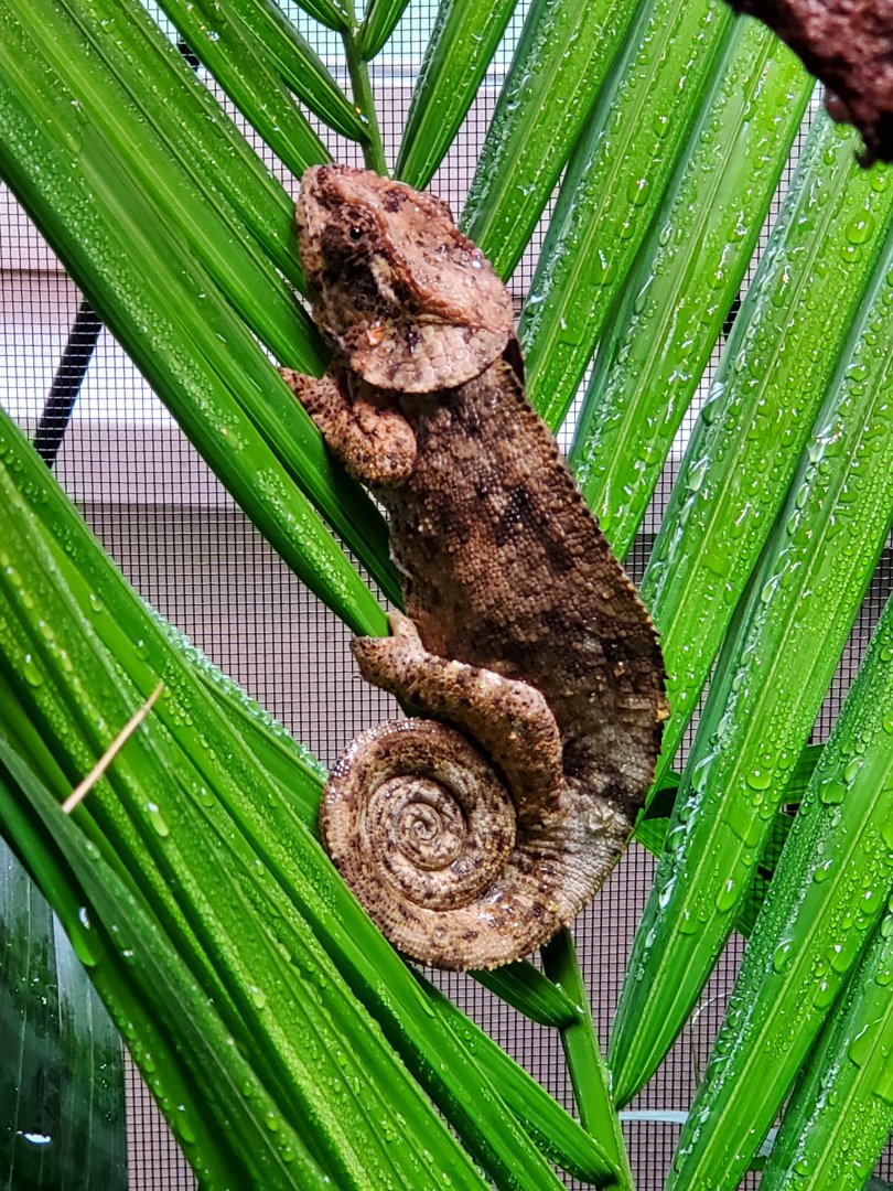 20190606_184433.jpg