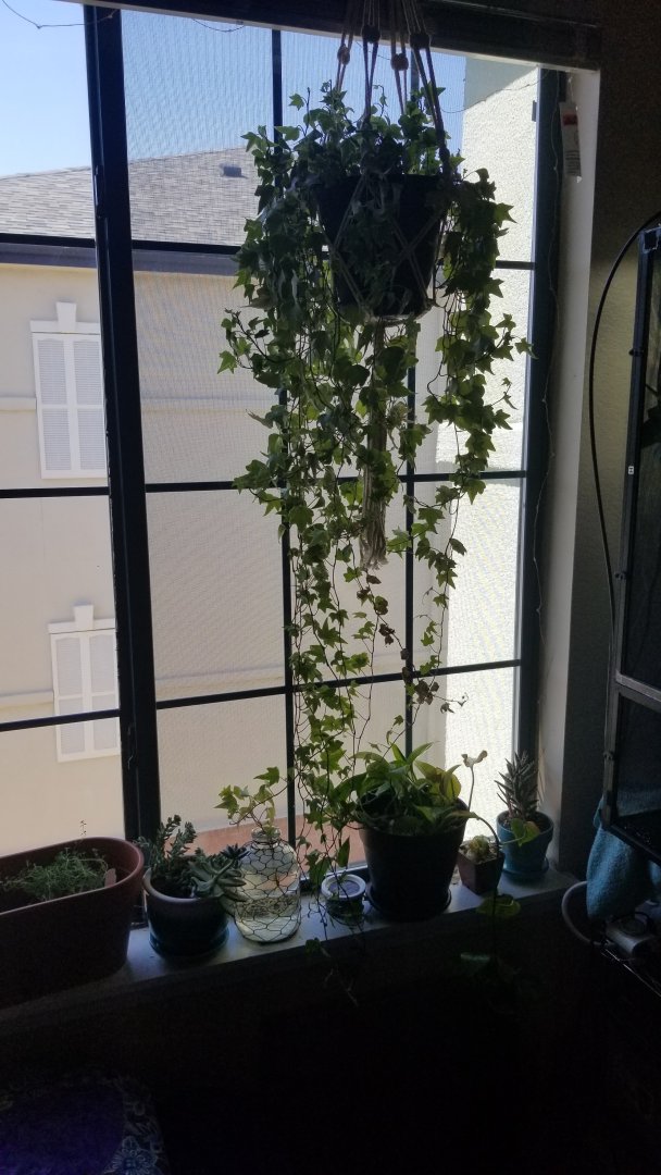 20190608_103507.jpg