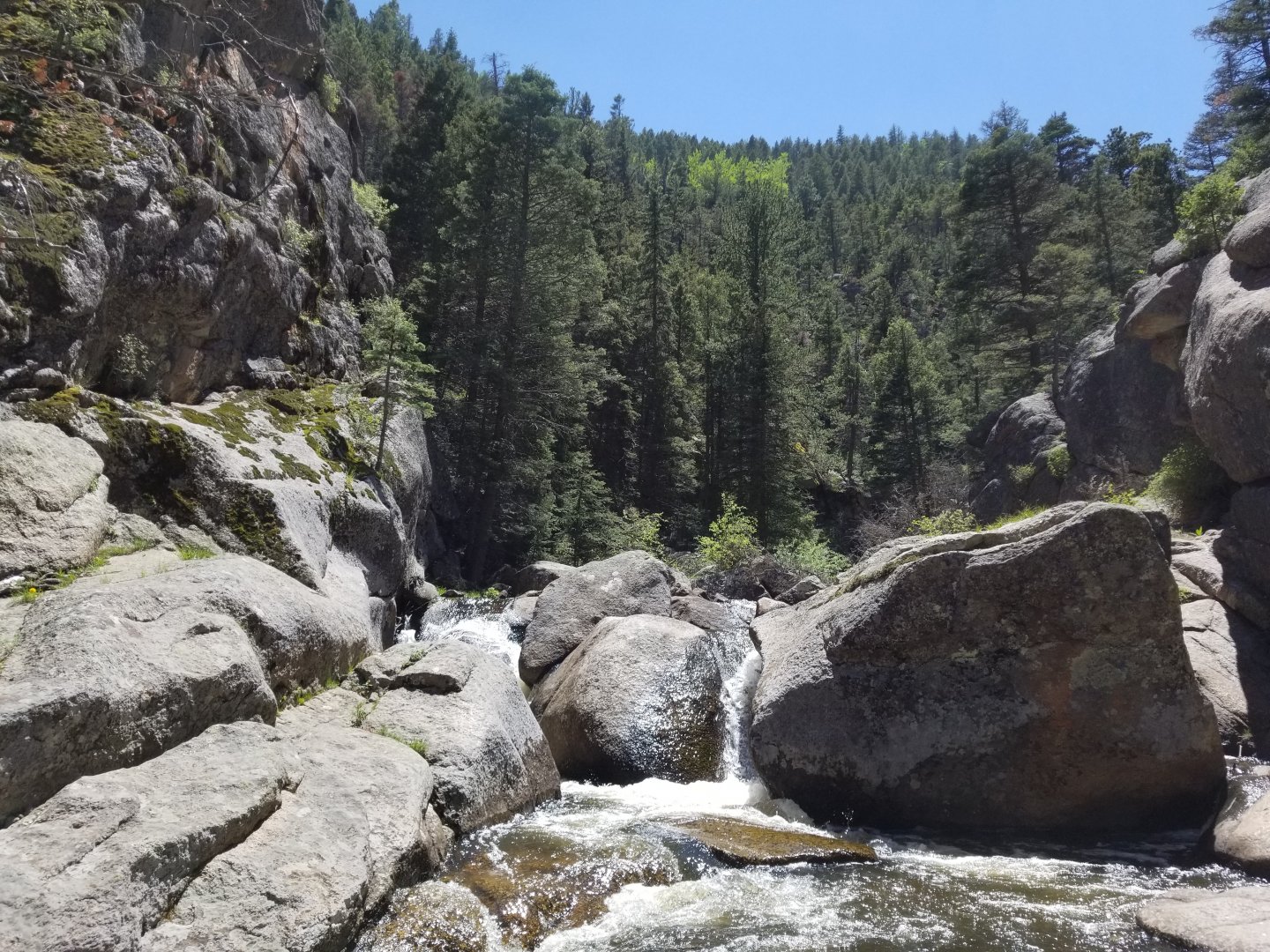 20190608_141530.jpg